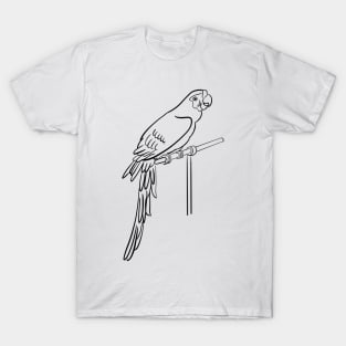 Stick figure parrot T-Shirt